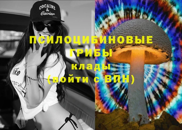 мескалин Арсеньев