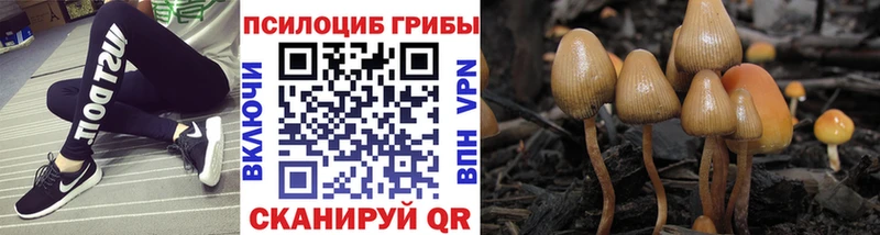 как найти закладки  Калтан  Галлюциногенные грибы MAGIC MUSHROOMS 